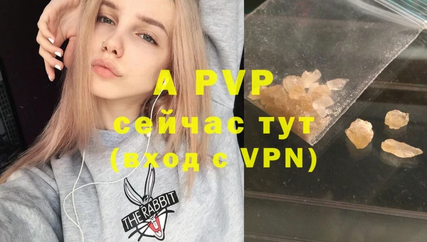 тгк Нея