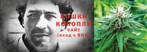 тгк Нея