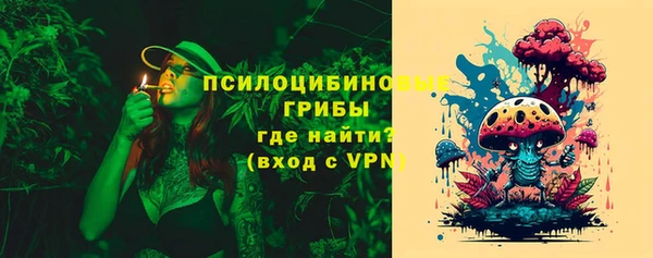 тгк Нея