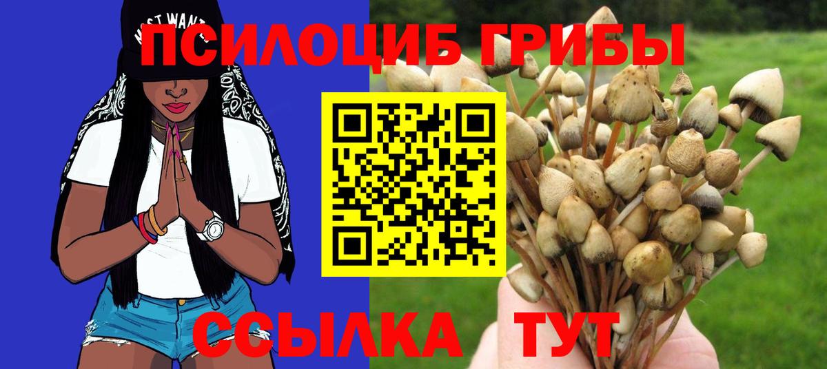 Алексин  Псилоцибиновые грибы GOLDEN TEACHER  Псилоцибиновые грибы прущие грибы  наркота  Вход с VPN 