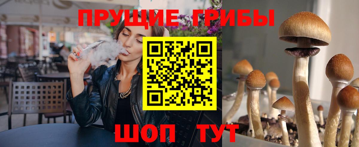 Галлюциногенные грибы Cubensis Алексин